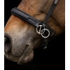 Waldhausen X-Line Bitless Bridle Supersoft