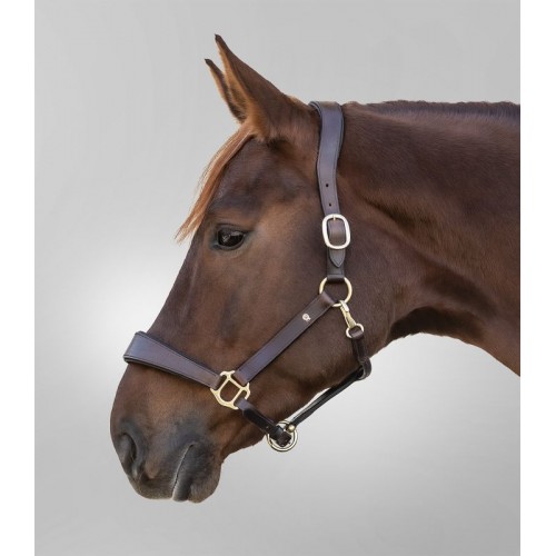 Waldhausen Leather Halter Line Anatomical