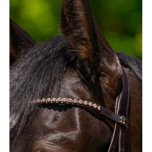 Waldhausen SS26 Browband X-Line Glam