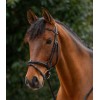 Waldhausen X-Line Browband Braided