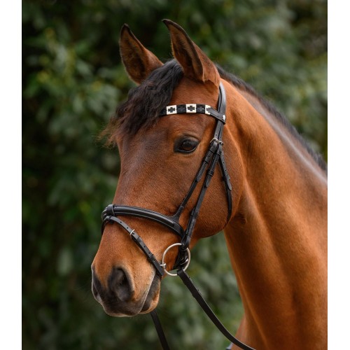 Waldhausen X-Line Browband Polo