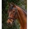 Waldhausen X-Line Browband Polo
