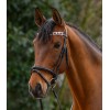 Waldhausen X-Line Browband Polo
