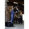 EQUI-THEME Baselayer Sabine