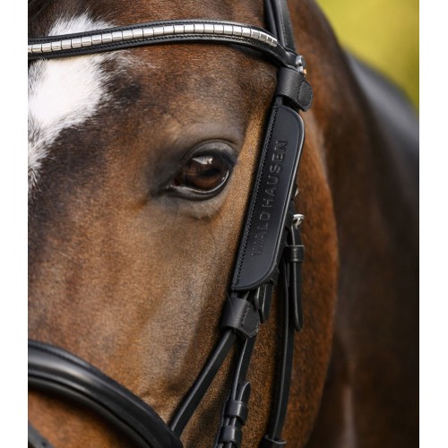 Waldhausen Blinkers