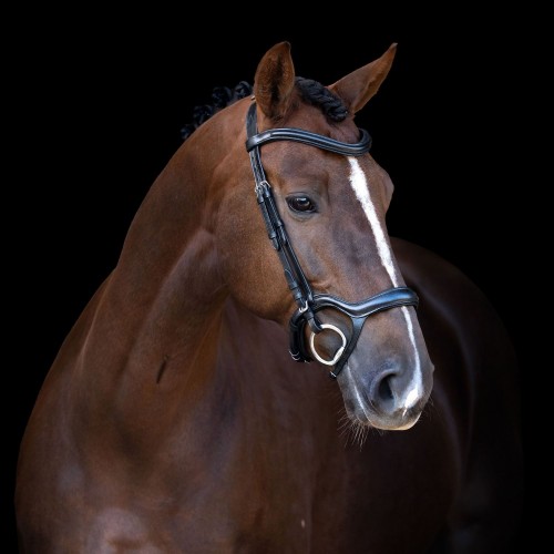 Imperial Riding Snaffle Bridle IRH with ergonomic drop noseband/flash strap