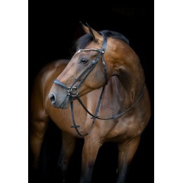 HorseGuard SS26 Cryll 26.1 drop капсюль уздечка