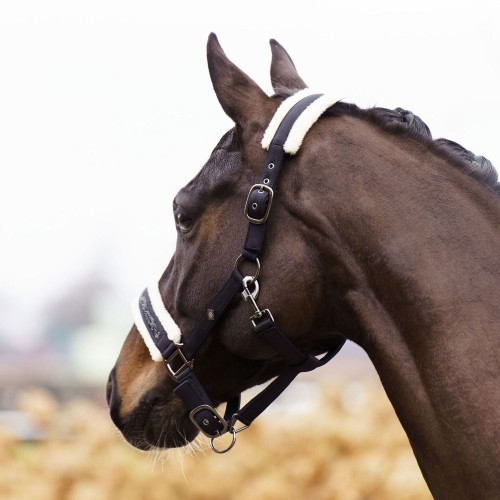 Imperial Riding FW25 Halter Jewel