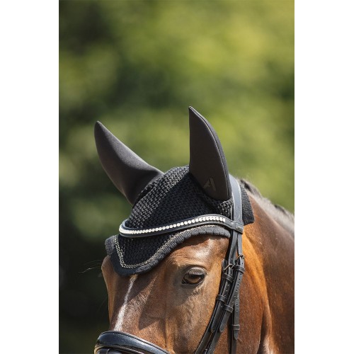 ANKY Earnet Presence