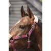 ANKY Halter and Rope Check Velvet