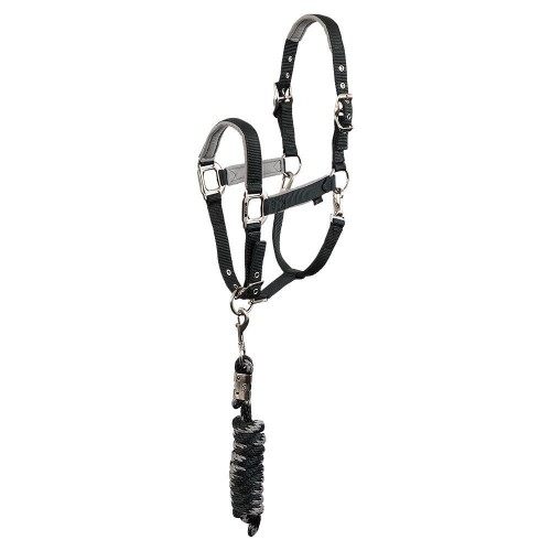 ANKY FW26 Halter and Lead Rope