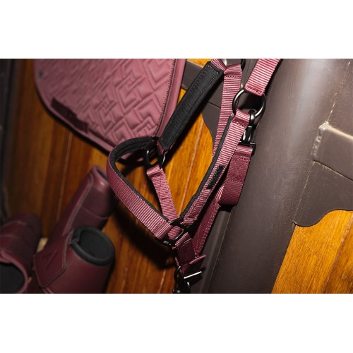 Anky Halter and Lead Rope 3C
