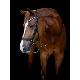 HorseGuard Anatomical уздечка Tine