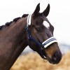 Imperial Riding FW25 Halter Jewel