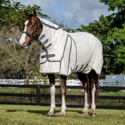 Rambo Optimo Supreme Summer Sheet Plus