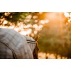 Horseware Newmarket Pony Plus Fly Sheet