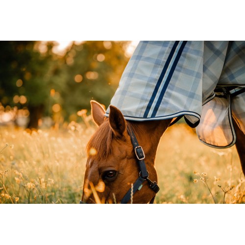 Horseware Newmarket Pony Plus Fly Sheet