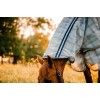 Horseware Newmarket Pony Plus Fly Sheet