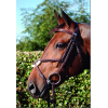 Dyon Classic bridle mexican noseband