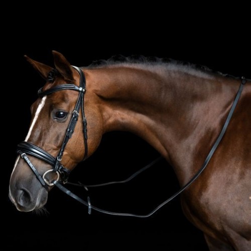 Imperial Riding Reins IRH smooth leather