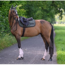 BOSS Equestrian SS26 конкурный вальтрап Cheltenham Tape