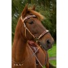 F.R.A. Esprit Bridle