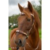 F.R.A. Esprit Bridle