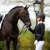 Juul C black/taupe show jacket with Swarovski