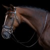 Imperial Riding Reins IRH rubber with thumb grip