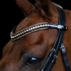 Imperial Riding SS26 Browband IRHMaxima