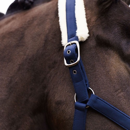 Imperial Riding FW25 Halter Jewel