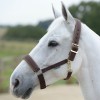 Bucas Comfort Halter