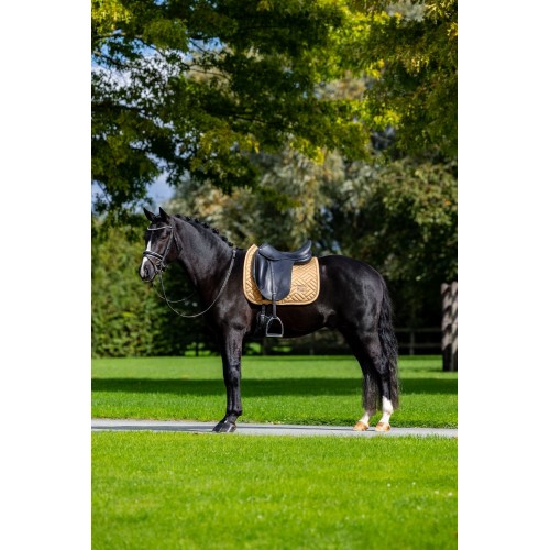 Equestrian Stockholm Midsummer Glow Modern Dressage Pad