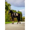 Equestrian Stockholm Midsummer Glow Modern Dressage Pad