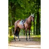 Equestrian Stockholm Pistachio White earnet