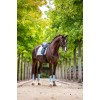 Equestrian Stockholm Ice Blue Classic Mesh Brushing Boots