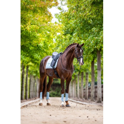 Equestrian Stockholm Ice Blue Classic Mesh Brushing Boots