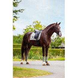 Equestrian Stockholm Pistachio белый Classic из сетки ногавки