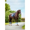 Equestrian Stockholm Midsummer Blue Classic Mesh Brushing Boots