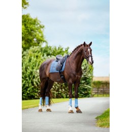 Equestrian Stockholm Midsummer синий Classic из сетки ногавки