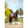 Equestrian Stockholm Lavender Pearl Dressage Saddle Pad