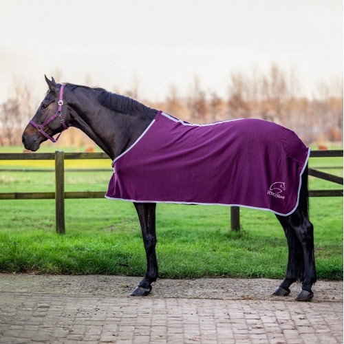 HypoStore Fleece Rug Logo Plum