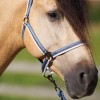 Imperial Riding SS25 Halter Economic