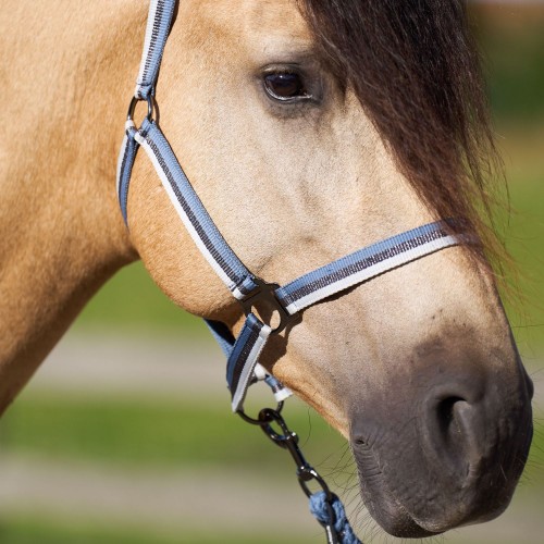 Imperial Riding SS25 Halter Economic