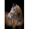 HorseGuard SS26 Emi 26.1 bridle combined noseband