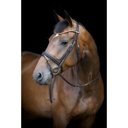 HorseGuard SS26 Emi 26.1 уздечка combined капсюль