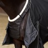 Imperial Riding FW25 Chest Protector IRHSuper-dry