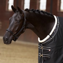 Imperial Riding FW25 Chest защитный IRHSuper-dry