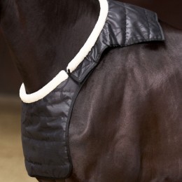 Imperial Riding FW25 Chest защитный IRHSuper-dry