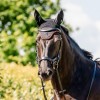 Horseware Newmarket Ear Net